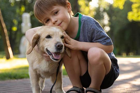 8 motivos para você ter um animal de estimação em casa