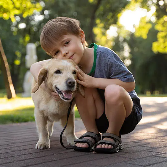 8 motivos para você ter um animal de estimação em casa slide 1