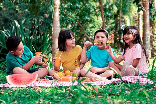Confira três ideias de lanche para piquenique na escola