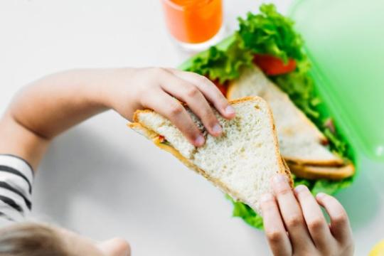 Volta às aulas: dicas para montar a lancheira ideal