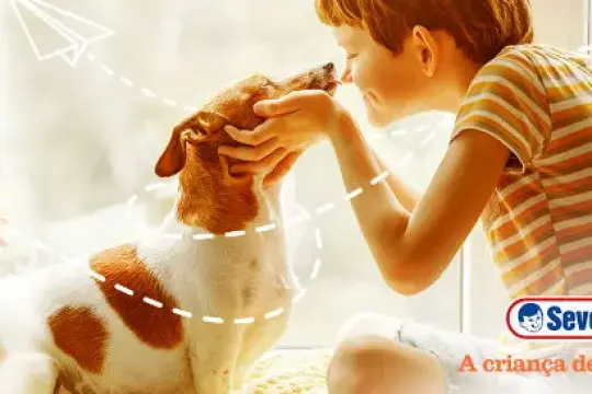 Quais são os benefícios de ter um animal de estimação? Descubra aqui