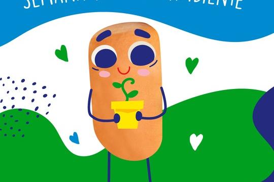 Semana Mundial do Meio Ambiente: veja dicas para reutilizar materiais recicláveis